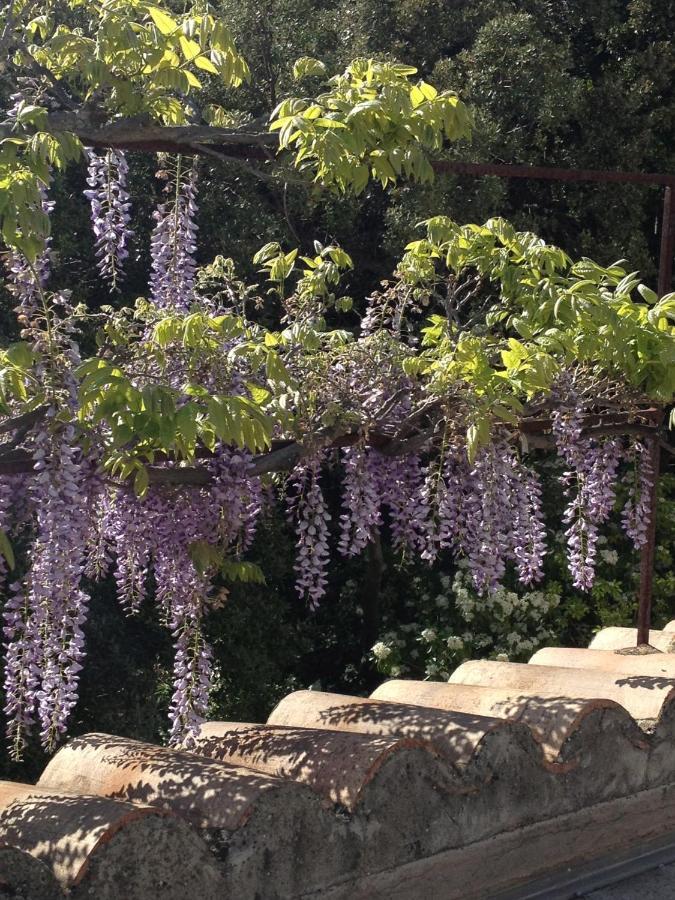 Bastide La Combe Hotel Vaison-la-Romaine Eksteriør billede